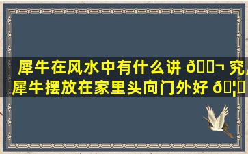 犀牛在风水中有什么讲 🐬 究,犀牛摆放在家里头向门外好 🦅 吗